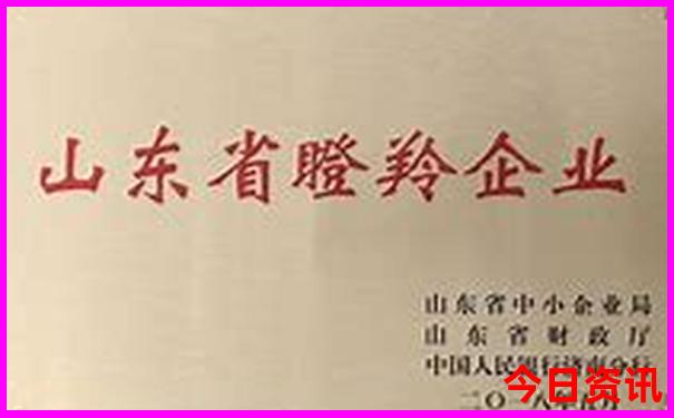 现在适合去哪个城市旅游